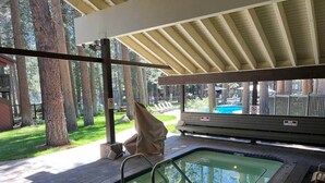 Una piscina scoperta coperta con un prendisole, una zona riparata e alberi sullo sfondo.