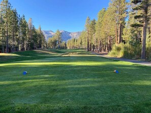 A golf course with a clear sky, green grass, and trees. - Cal King, 2BR/2bth Hot Tub, Pool & Walk to town (Mammoth Lakes)