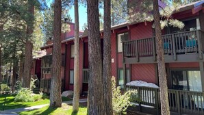 Un edificio a più piani con balconi, circondato da alberi alti.
