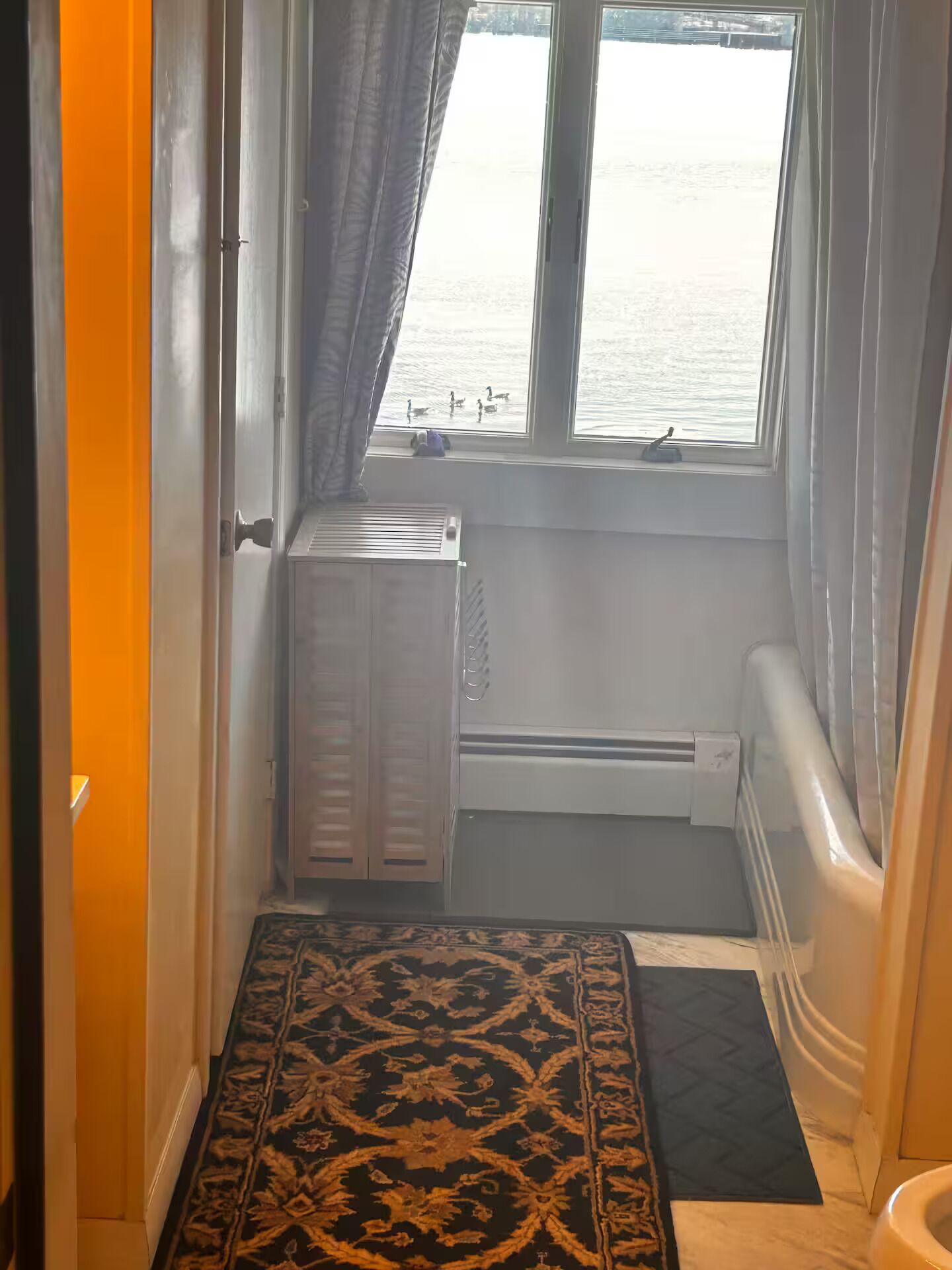 Ein schmaler Flur mit einem Heizkörper, einem Fenster mit Blick auf das Wasser und einem gemusterten Teppich.