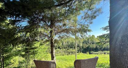 Escapade au Saguenay, cottage au charme rustique