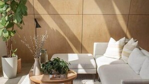 Un salon moderne comprenant un canapé, une table basse et des fauteuils, une plante en pot et un vase décoré de branches.