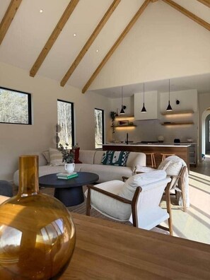 TV, fireplace - Modern Luxe Barn House w Hot Tub (Gilmer County)