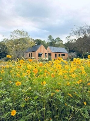Ein zweistöckiges Gebäude mit schrägem Dach, umgeben von einem Feld gelber Blumen.