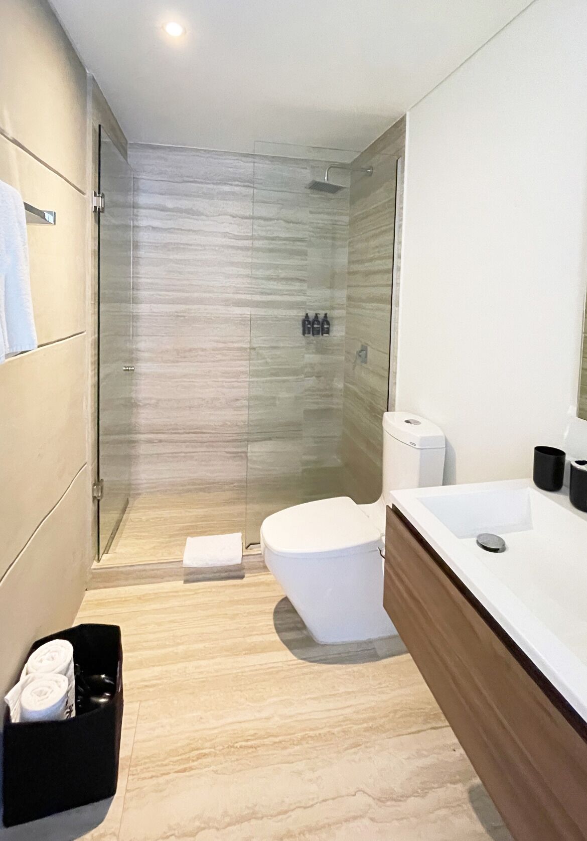 Hair dryer, towels, toilet paper