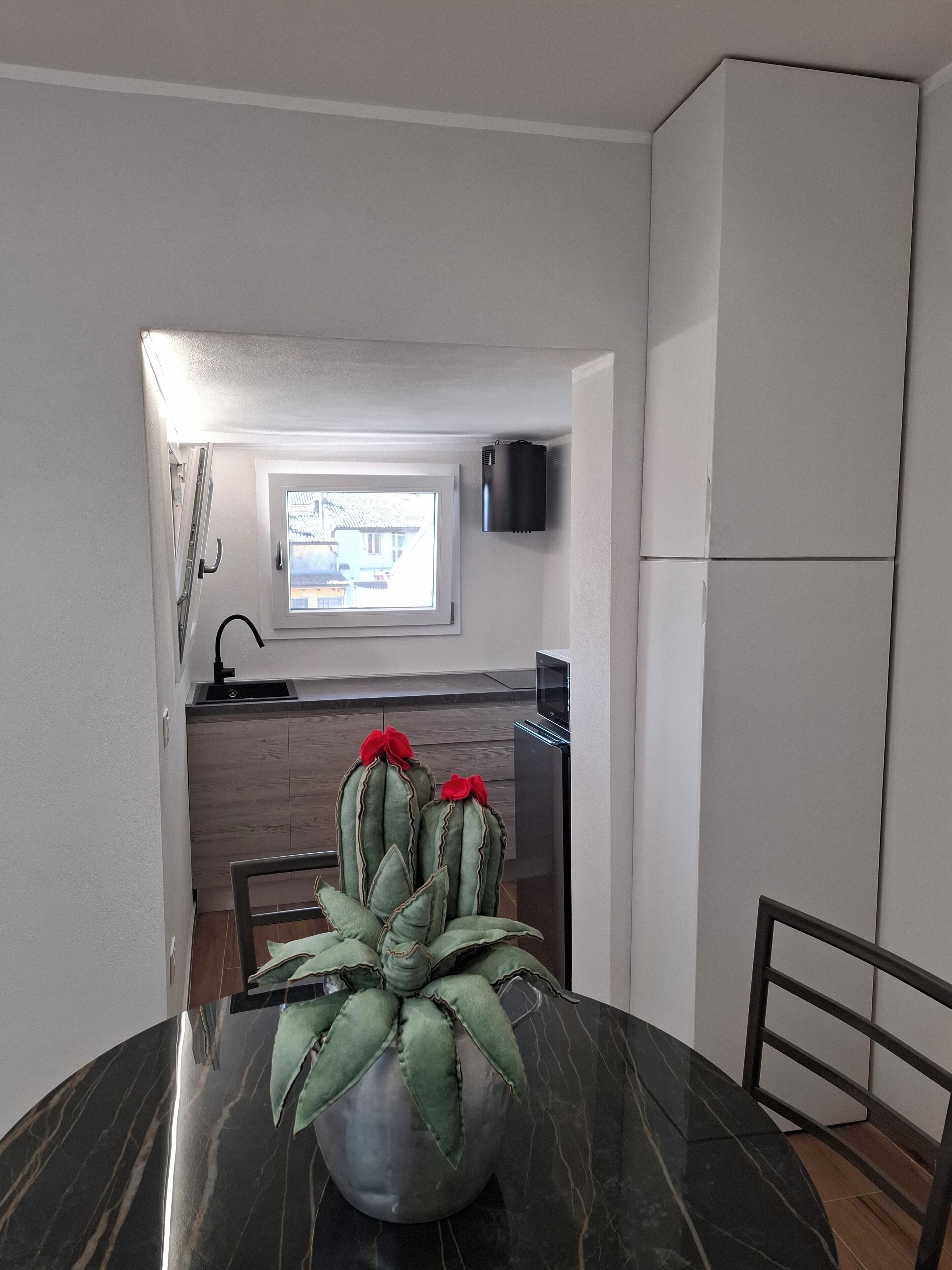 Deluxe Apartment, Garden View | Private kitchen