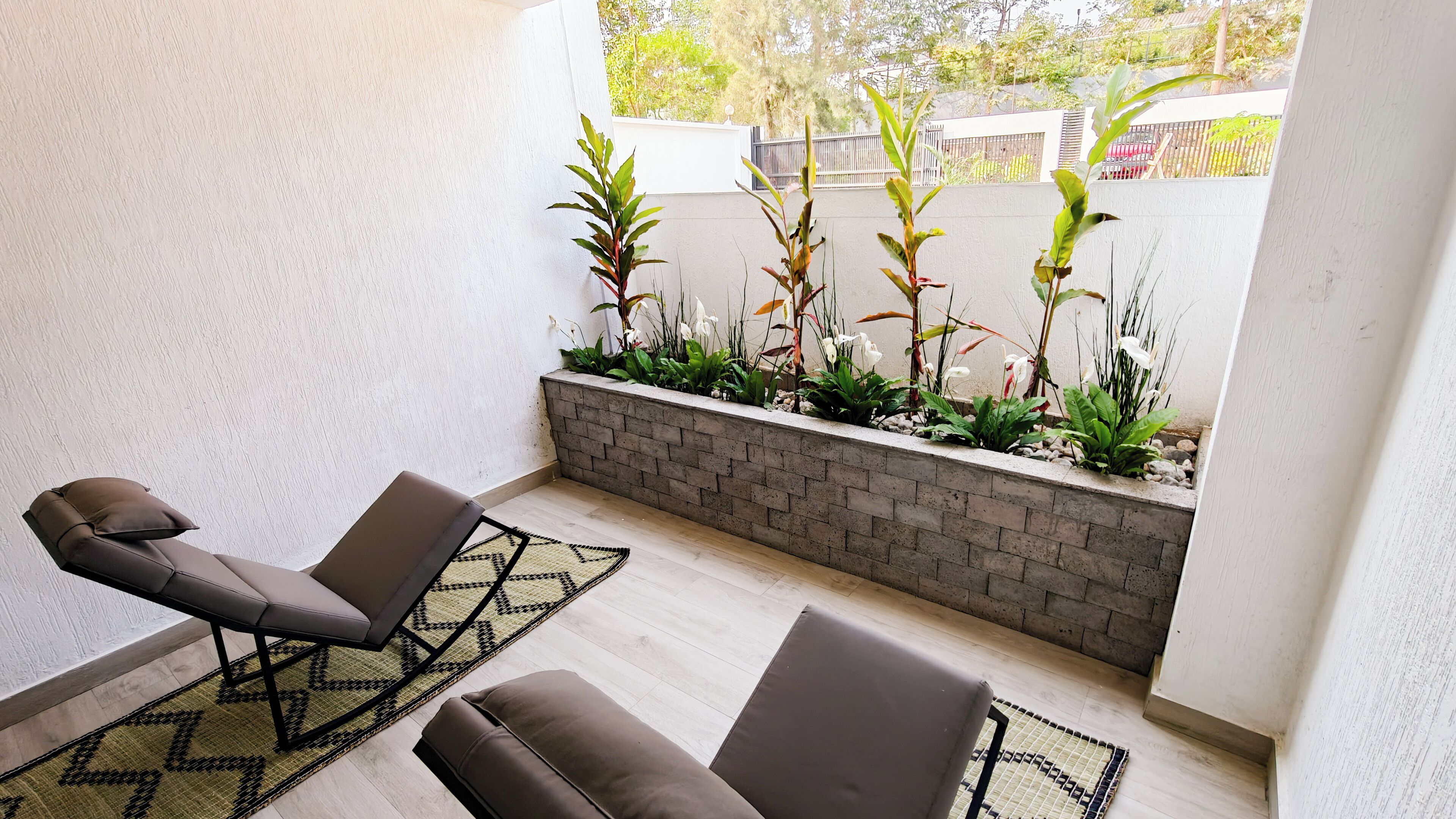 Terraza o patio