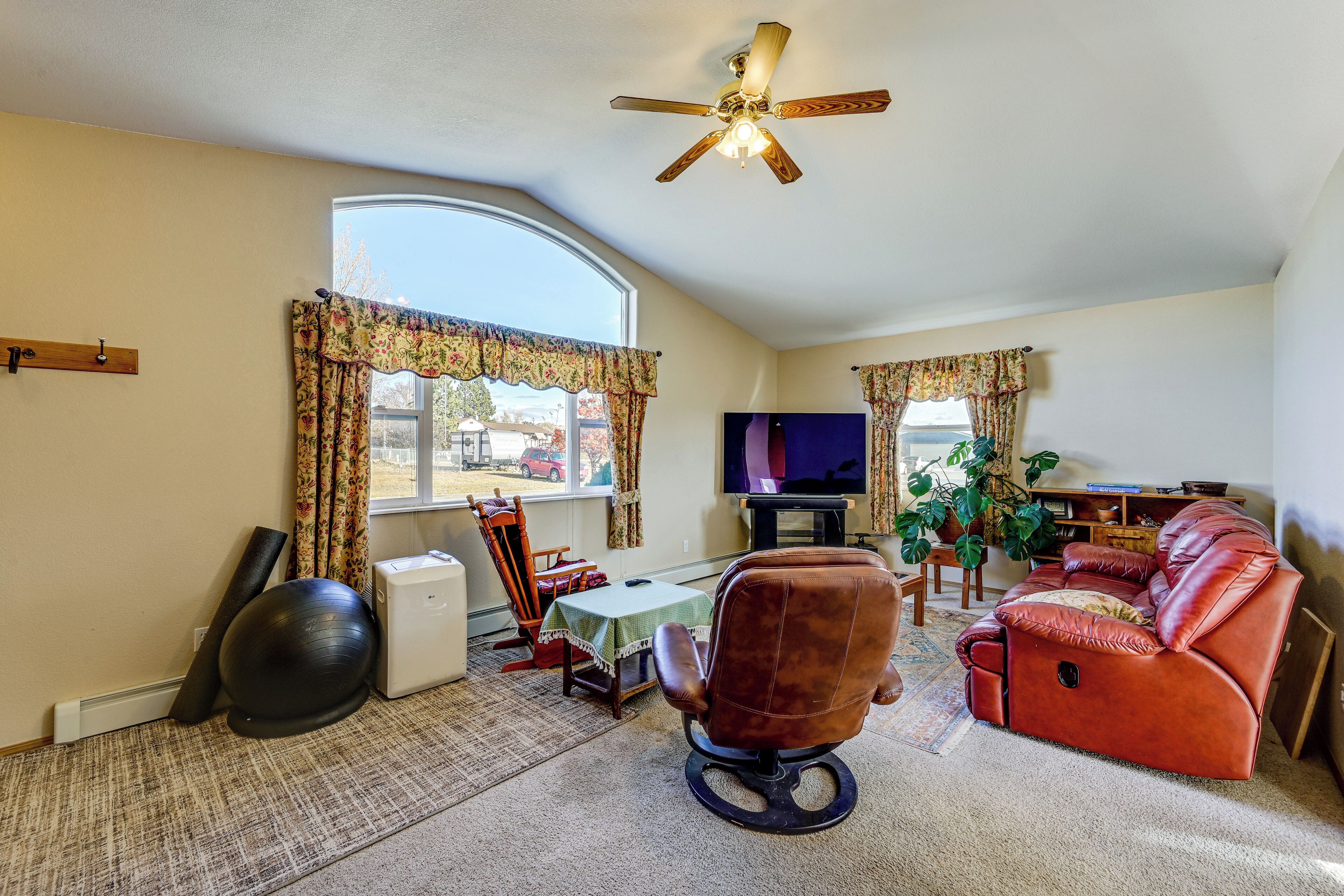 Fernseher, Bücher, Videothek