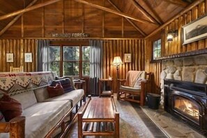 Fireplace, books - Historic Steiner log cabin on Mt Hood (Clackamas County)