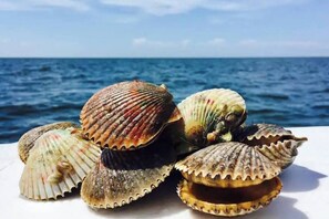 Fishing - Drift & Dream Getaway Pet-Friendly  (Crystal River)