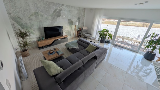 A modern living room with a large flat-screen TV, a grey sofa, and two potted plants. - Quiet apartment in the green Kreischa near Dresden (Kreischa)