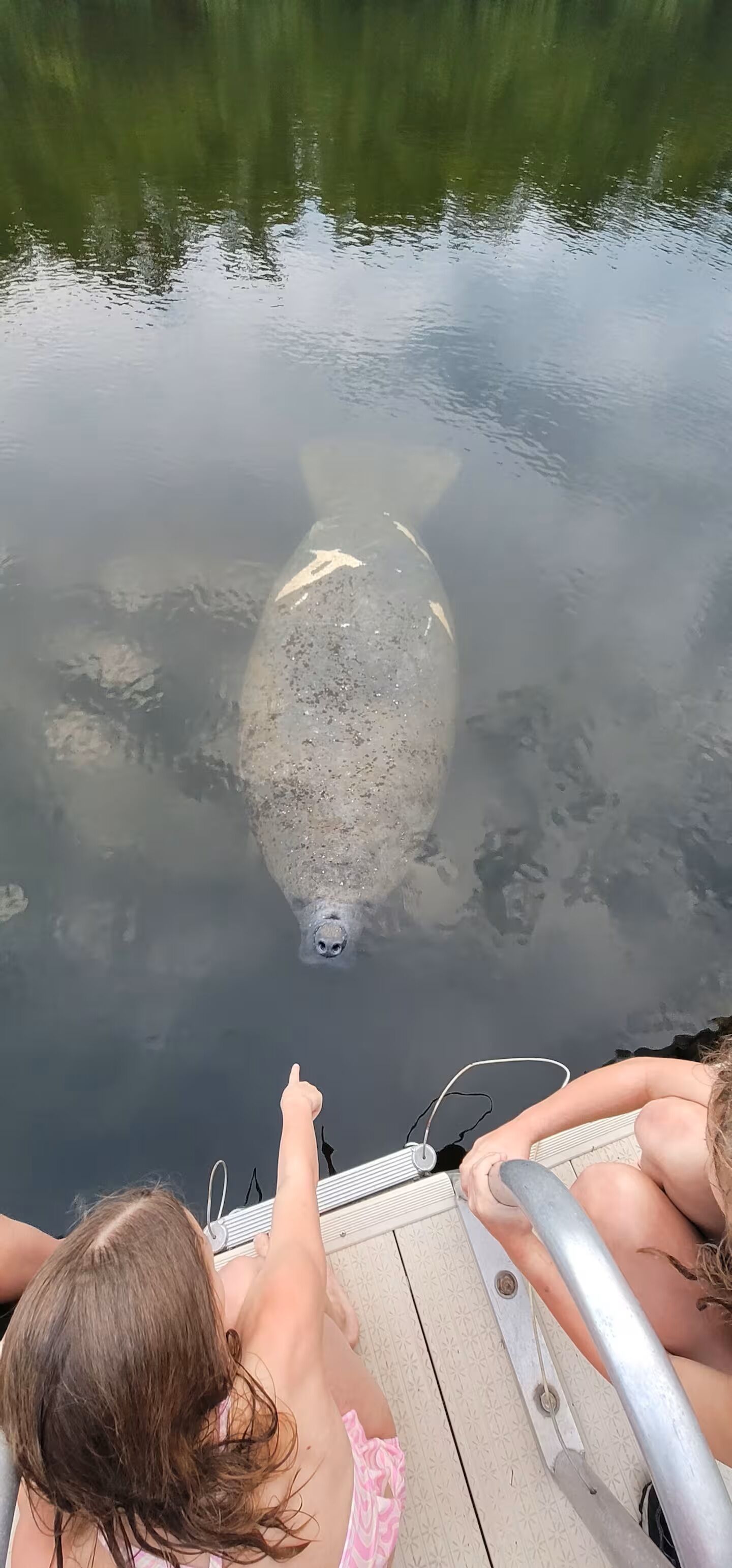 Iemand wijst naar een grote vis in het water vanaf een boot.
