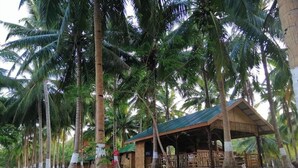 A rustic wooden structure with a thatched roof, surrounded by tall palm trees. - Tay Deling's (El Nido)