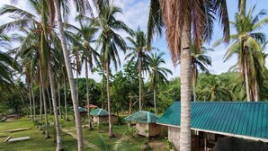 Garden - Tay Deling's (El Nido)