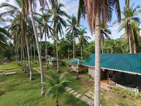 Garden - Tay Deling's (El Nido)