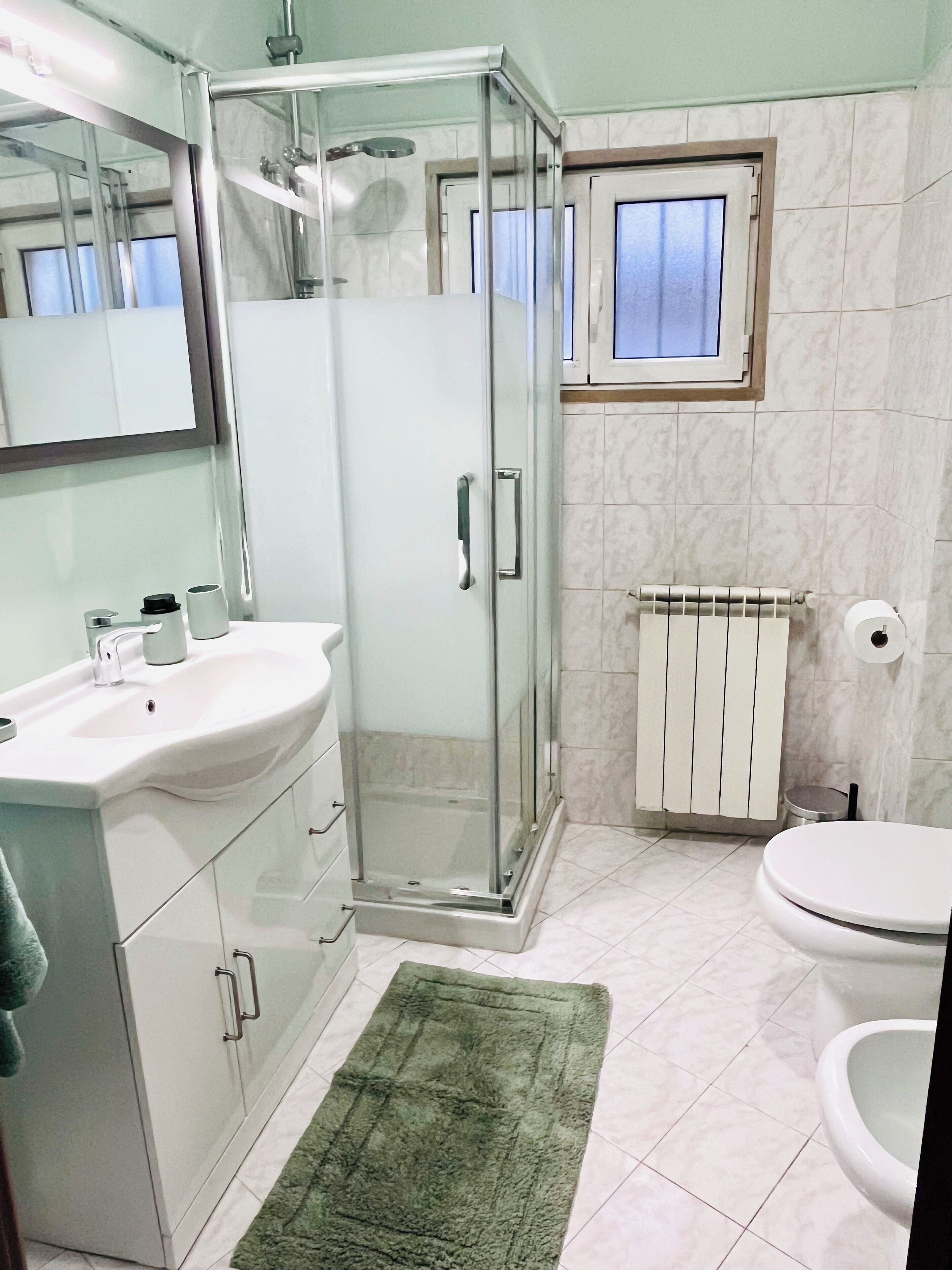 Shower, hair dryer, bidet, towels