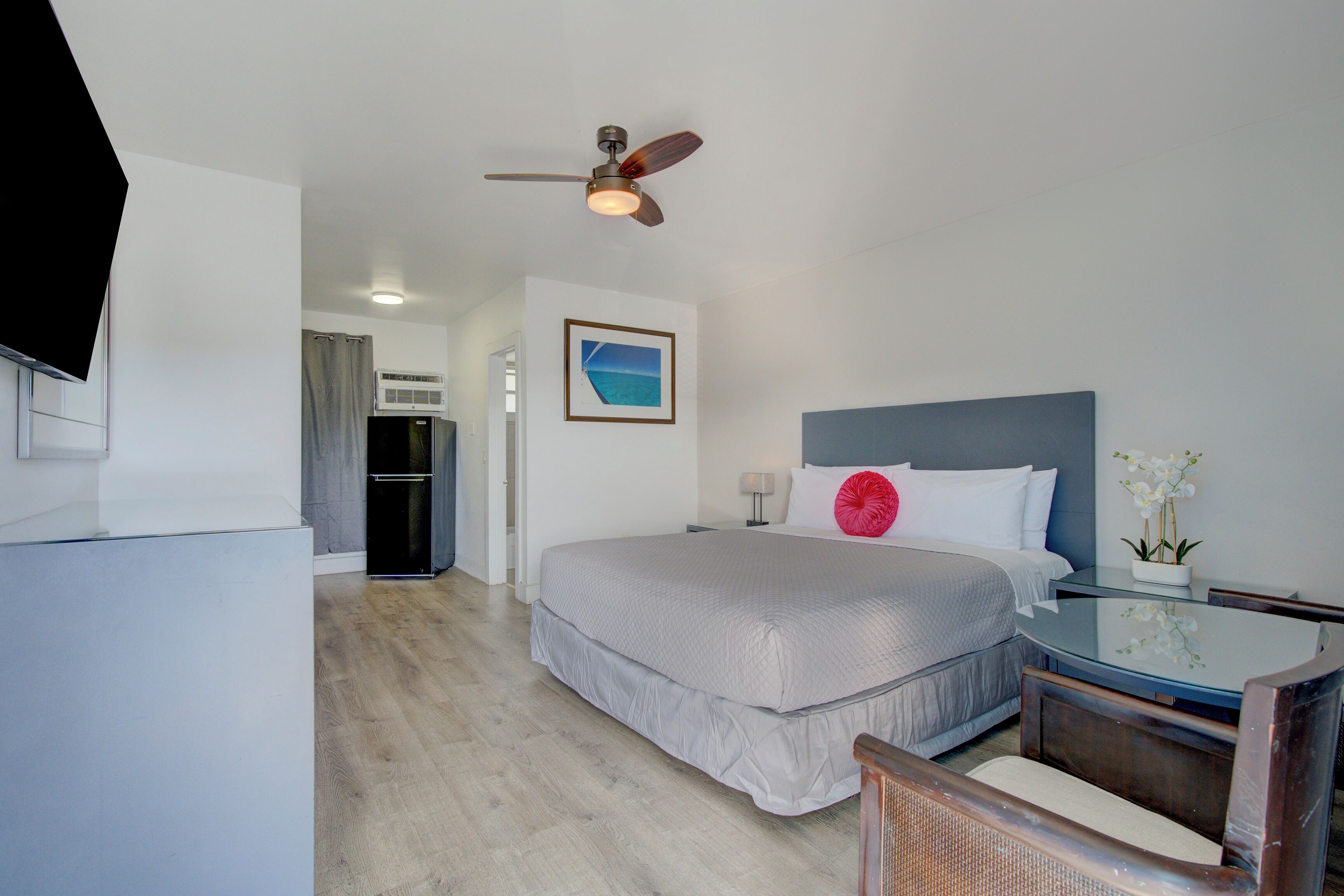 A hotel room with a bed, a ceiling fan, a television, a small table with a plant, and a view of the ocean through a window.