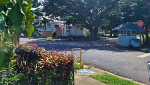 Une vue de rue avec un grand arbre, un panneau de signalisation indiquant un arrêt obligatoire et un petit bâtiment portant l’inscription « ALTO ».