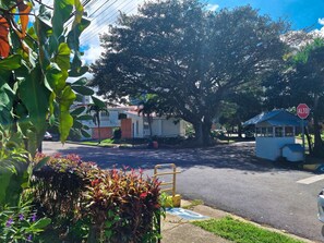 Property grounds - Welcome to Casa Jardín del Mango – Your Home Away From Home! (San José)