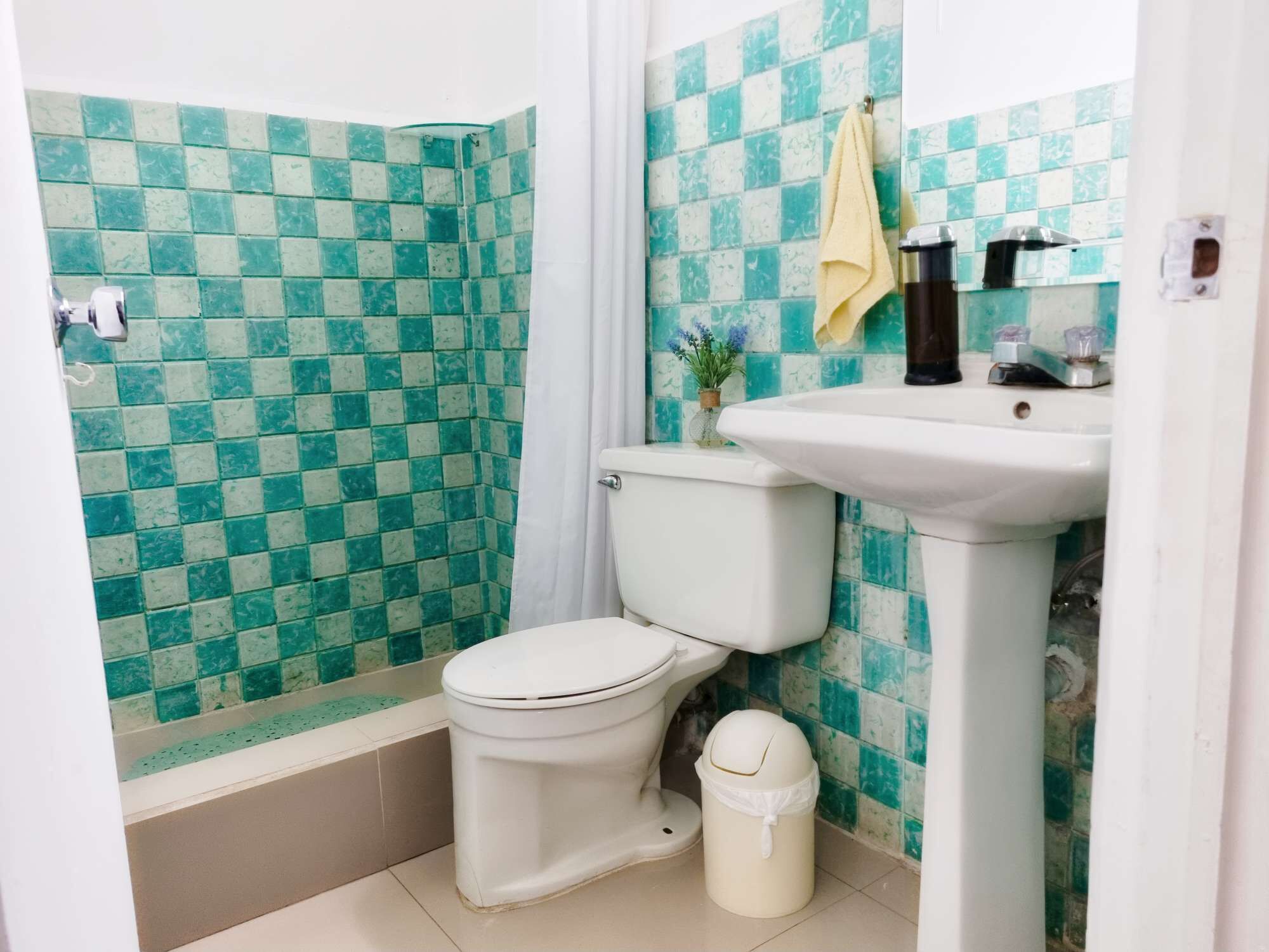 Shower, bidet, towels