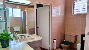 Un baño con lavamanos de mármol, inodoro y zona de ducha.