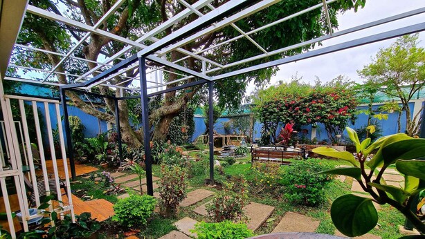 Une terrasse couverte avec une table et des chaises en bois, entourée de plantes en pot et d’un jardin.