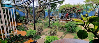 Welcome to Casa Jardín del Mango – Your Home Away From Home!