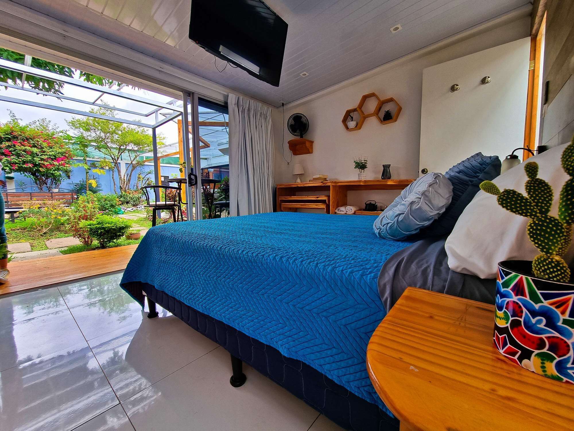 A modern bedroom with a large bed, a TV, a small table, and a cactus.