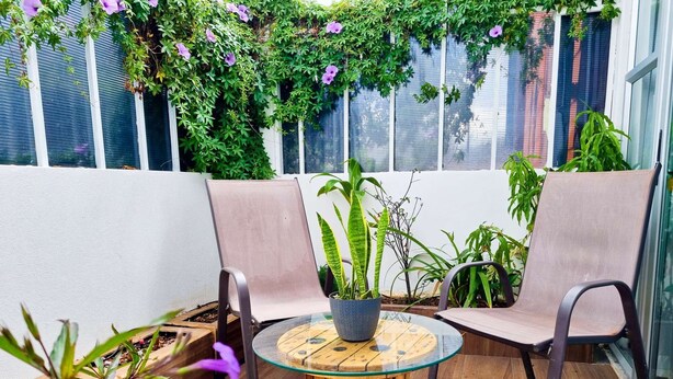 Un petit espace patio comprenant deux fauteuils rembourrés, une table ronde en verre et diverses plantes en pot.