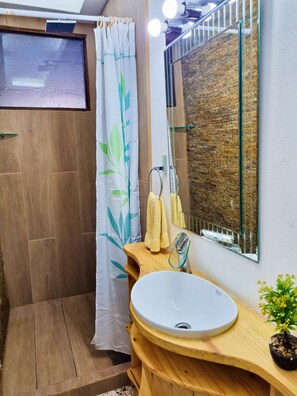 Shower, hair dryer, bidet, towels