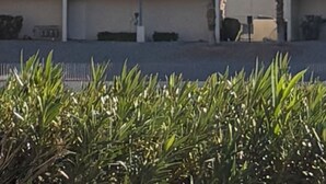 Un edificio de varios pisos con balcones y palmeras al frente.