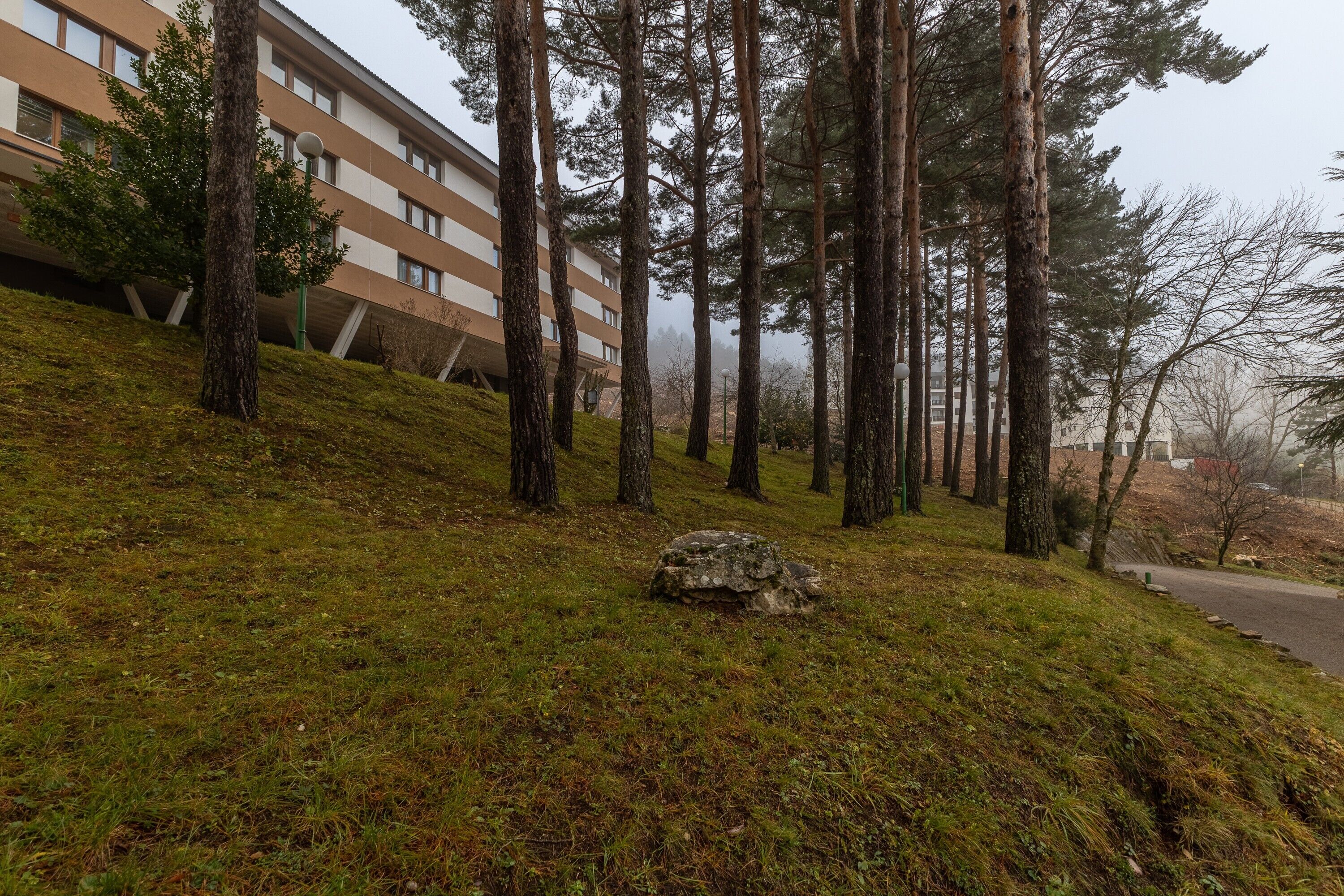 Parco della struttura