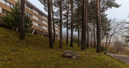Casa Vacacional 'Loft Relajante Est Esquí La Pinilla' con Vistas a la Montaña y Jardín Compartido