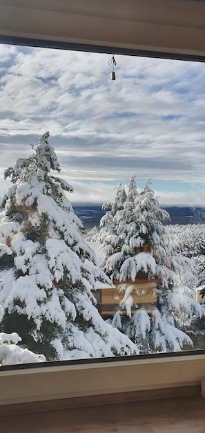 A view of snow-covered trees through a window, with a clear sky and distant mountains.