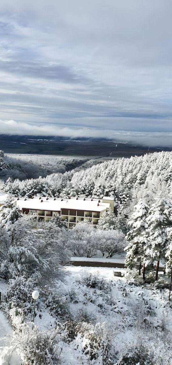 A building surrounded by snow-covered trees and a distant view of a landscape.