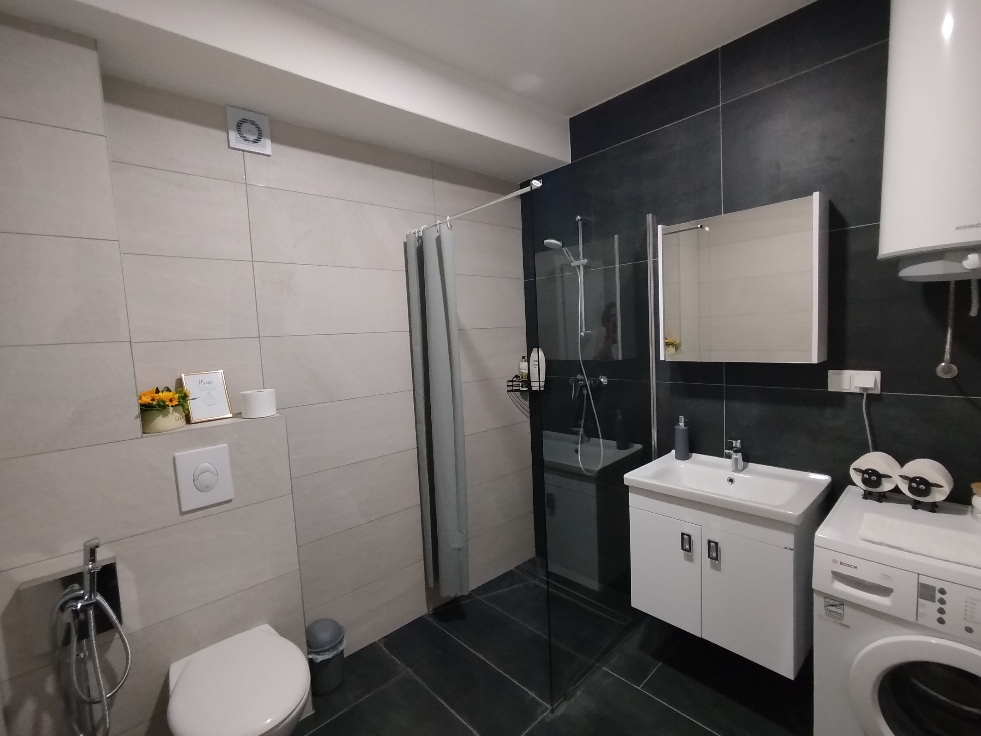 Ducha, secador de pelo, bidet, toallas