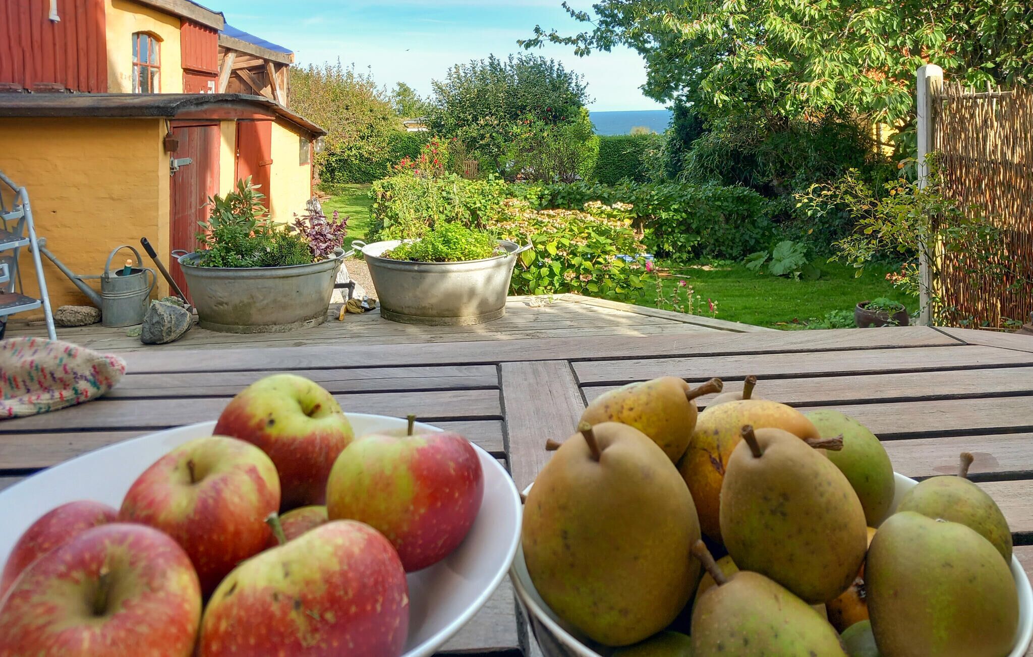 Overnattingsstedets uteområder