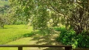 الإطلالة من المنشأة