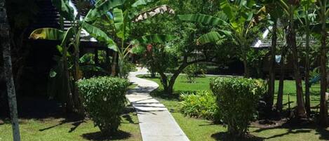 Área da propriedade