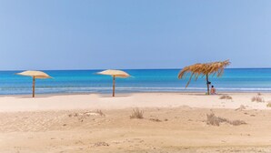 Ein Strand mit drei Reetdach-Sonnenschirmen und einer Palme.