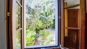 A window with a view of a garden with various plants and trees. - 1 bedroom pet friendly apartment in Citerna (Citerna)