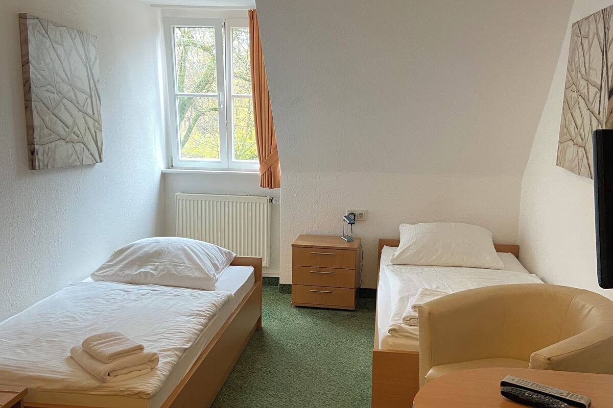 Chambre avec lits jumeaux, 2 lits une place, salle de bains privée, vue parc | Wi-Fi gratuit