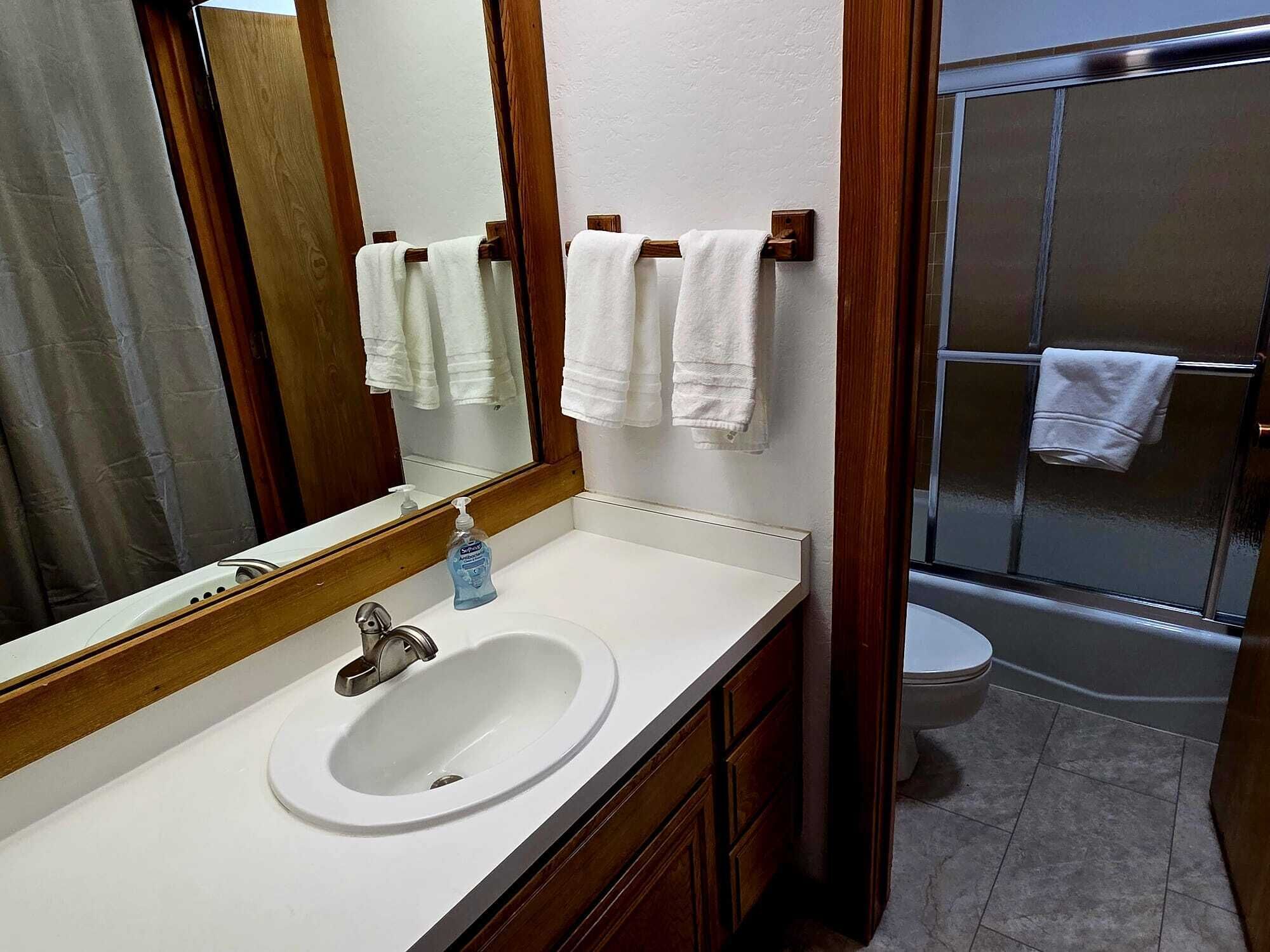 A bathroom with a white sink, a mirror, a hand soap dispenser, and a shower area with a glass door.