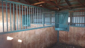 Interior - Beautiful 2-bedroom guest suite with endless views (Belle Fourche)