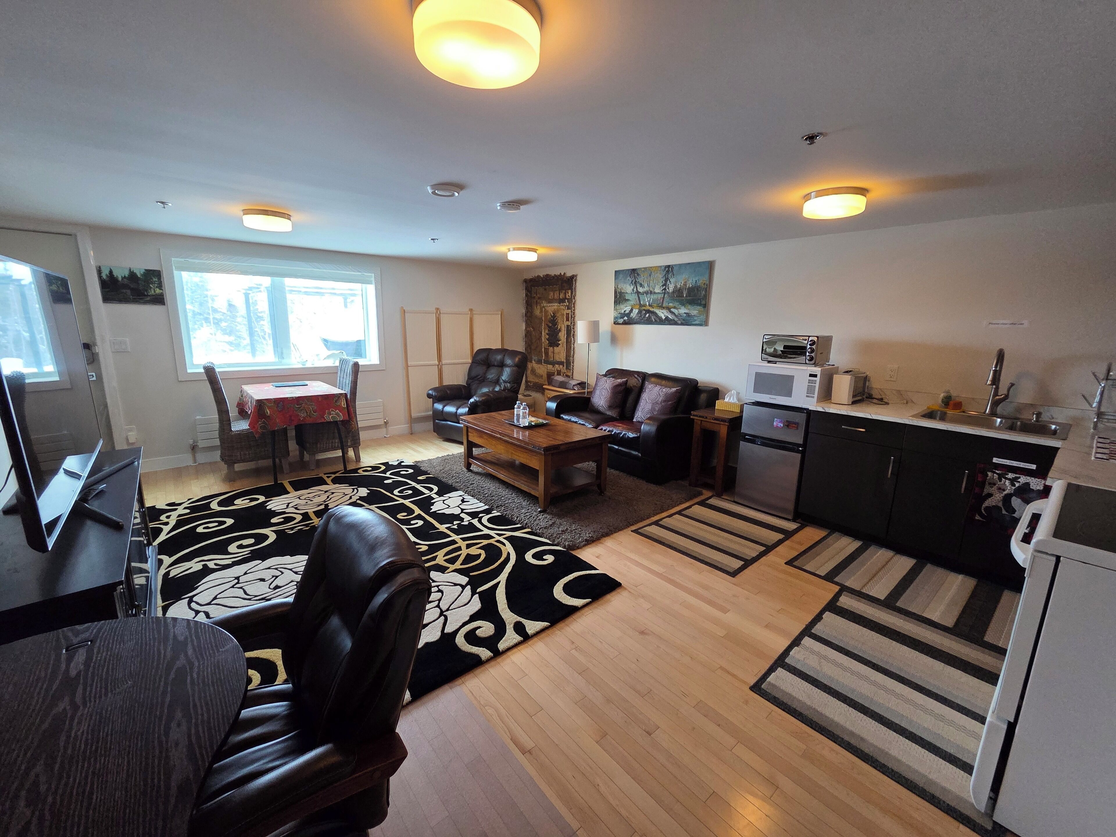 Smart TV, fireplace, books