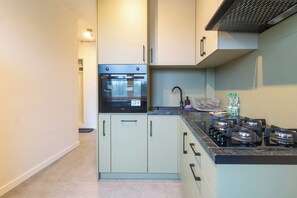 Fridge, oven, stovetop, dishwasher - Lisieckiego Urban Apartment (Katowice)