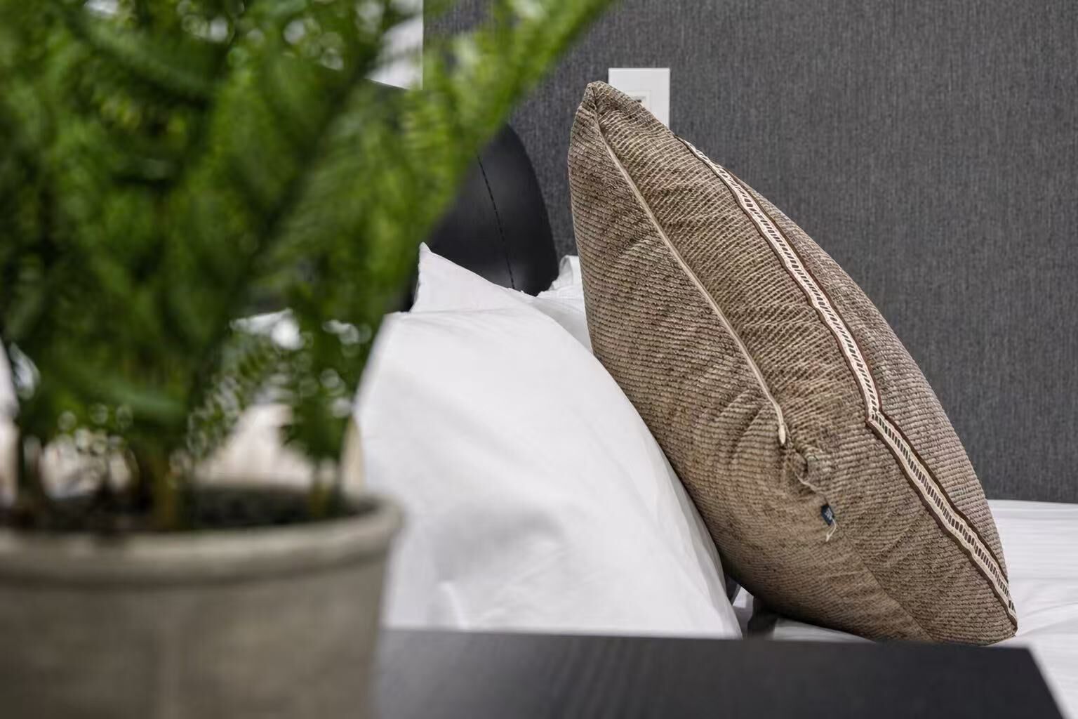 Un lit avec un oreiller blanc et un oreiller texturé, une plante en pot et un mur gris.