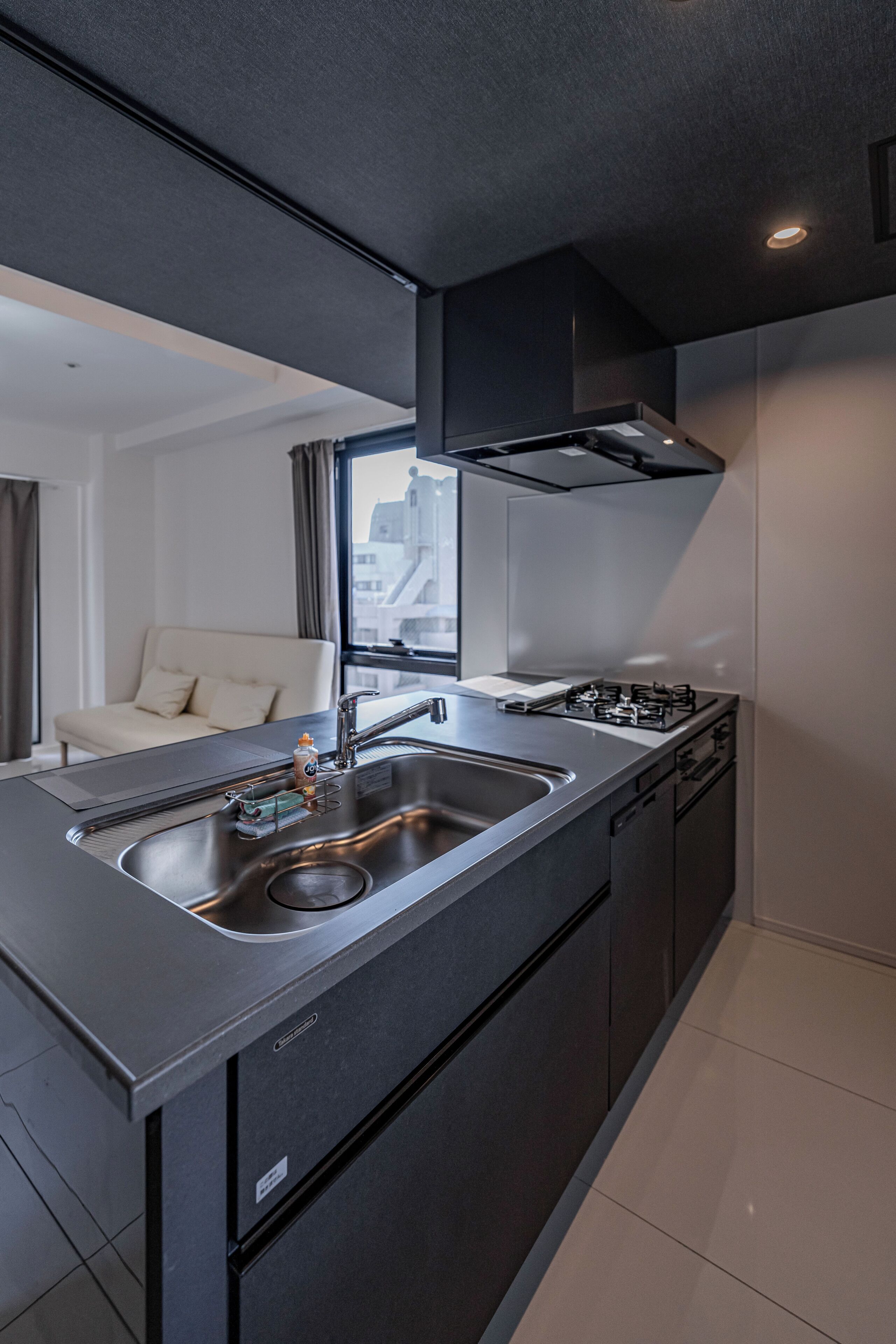 Phòng 4 Superior, ban công, quang cảnh thành phố | Bếp riêng | Tủ lạnh, lò vi sóng, lò nướng, bếp nấu 