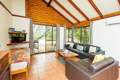 Wiry Wattle - Wyadup Brook Cottages