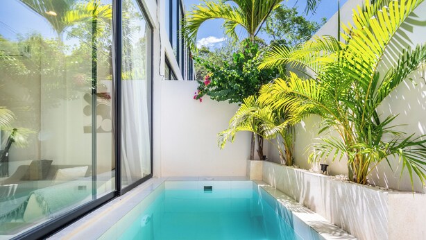 A modern swimming pool with clear blue water, surrounded by lush greenery and white walls.